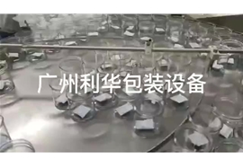 開心果，碧根果，巴達木，罐裝包裝生產線