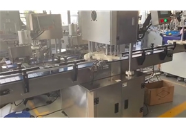 伺服封罐機(jī)